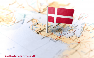 indfodsretsproeven 2025
